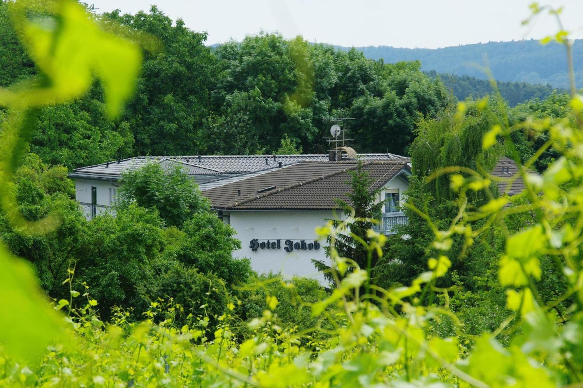 Hotel Jakob Groß-Umstadt Εξωτερικό φωτογραφία